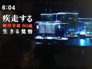 f:id:Magnoliarida:20160102222445j:image