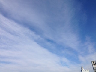 f:id:Magnoliarida:20160102222519j:image