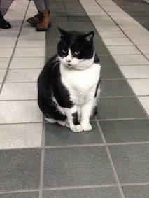 f:id:Magnoliarida:20160117232944j:image