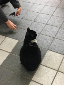 f:id:Magnoliarida:20160117232946j:image