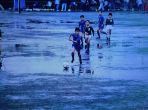 f:id:Magnoliarida:20160121180122j:image