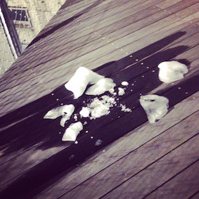 f:id:Magnoliarida:20160127112249j:image