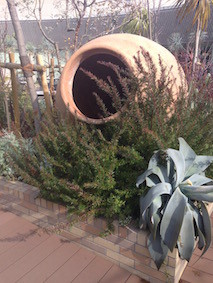 f:id:Magnoliarida:20160208121607j:image