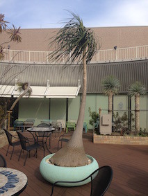 f:id:Magnoliarida:20160208121611j:image