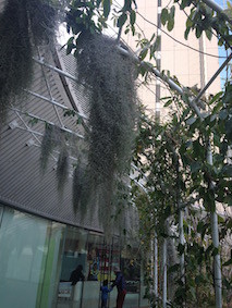 f:id:Magnoliarida:20160208121613j:image