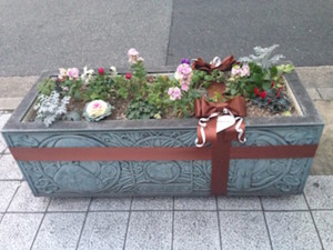 f:id:Magnoliarida:20160208121645j:image