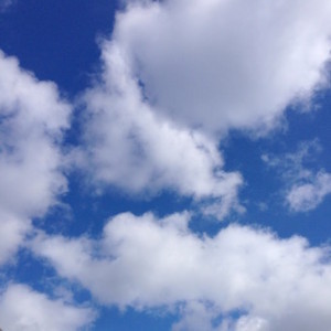 f:id:Magnoliarida:20160210145812j:image