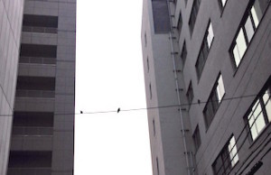 f:id:Magnoliarida:20160608191618j:image