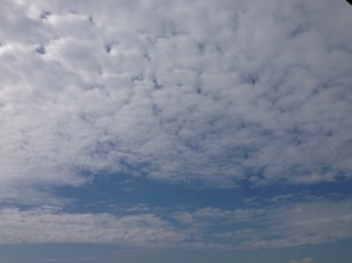 f:id:Magnoliarida:20160608191945j:image