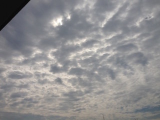 f:id:Magnoliarida:20160608191946j:image