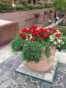 f:id:Magnoliarida:20160614010249j:image f:id:Magnoliarida:20160614010249j:image