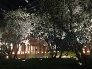 f:id:Magnoliarida:20160614010625j:image f:id:Magnoliarida:20160614010625j:image