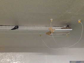 f:id:Magnoliarida:20160707140317j:image