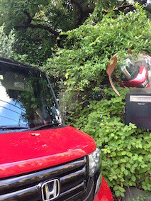 f:id:Magnoliarida:20160725150741j:image