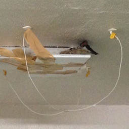 f:id:Magnoliarida:20160729154711j:image