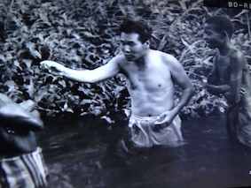 f:id:Magnoliarida:20160806114607j:image