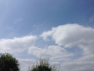 f:id:Magnoliarida:20160812105849j:image