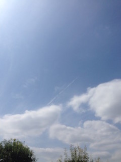 f:id:Magnoliarida:20160812105850j:image