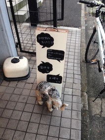 f:id:Magnoliarida:20160812110108j:image