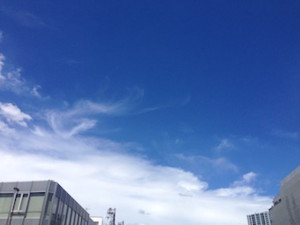 f:id:Magnoliarida:20160822122453j:image