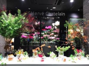 f:id:Magnoliarida:20160924024748j:image