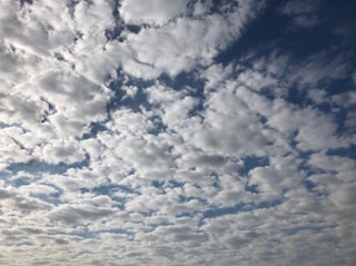 f:id:Magnoliarida:20161008214457j:image