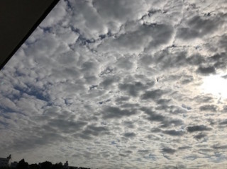 f:id:Magnoliarida:20161008214458j:image