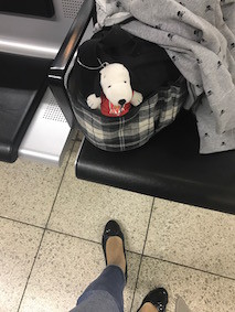 f:id:Magnoliarida:20161017010046j:image