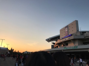 f:id:Magnoliarida:20161017010131j:image f:id:Magnoliarida:20161017010131j:image