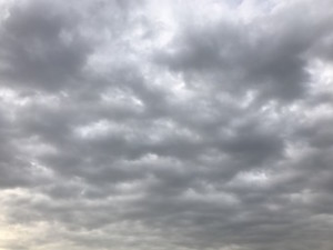 f:id:Magnoliarida:20161024174127j:image