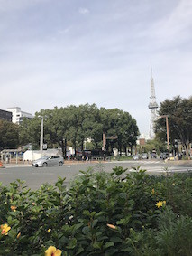 f:id:Magnoliarida:20161024174134j:image