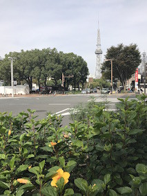 f:id:Magnoliarida:20161024174135j:image f:id:Magnoliarida:20161024174135j:image