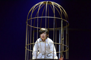 f:id:Magnoliarida:20161119082059j:image