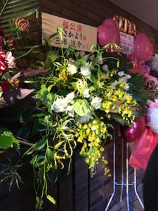 f:id:Magnoliarida:20161212232734j:image