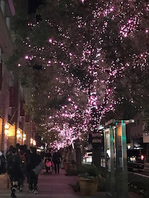 f:id:Magnoliarida:20161217105219j:image