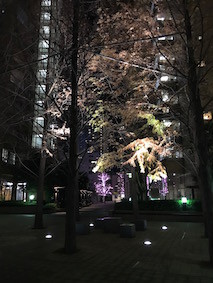 f:id:Magnoliarida:20161217105223j:image