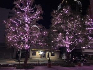 f:id:Magnoliarida:20161217105225j:image