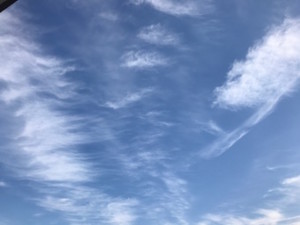 f:id:Magnoliarida:20170107013240j:image