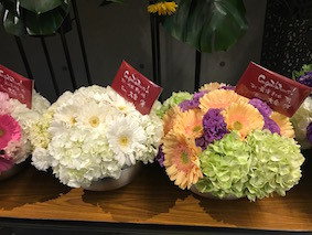 f:id:Magnoliarida:20170115224359j:image