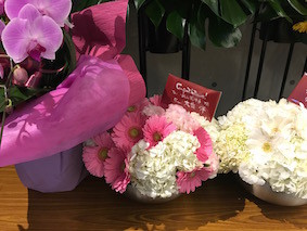 f:id:Magnoliarida:20170115224401j:image