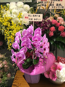 f:id:Magnoliarida:20170115224402j:image