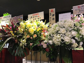 f:id:Magnoliarida:20170115224406j:image