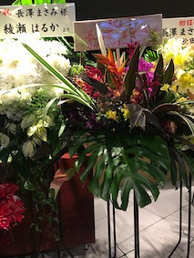 f:id:Magnoliarida:20170115224410j:image