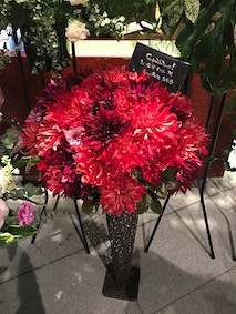 f:id:Magnoliarida:20170115224412j:image