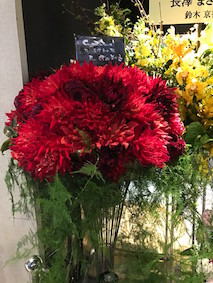 f:id:Magnoliarida:20170115224416j:image