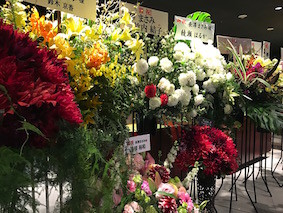 f:id:Magnoliarida:20170115224417j:image