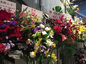 f:id:Magnoliarida:20170115224422j:image