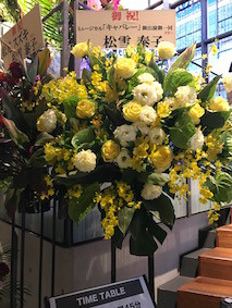 f:id:Magnoliarida:20170115224426j:image