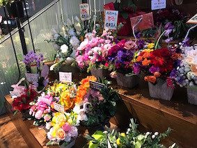 f:id:Magnoliarida:20170115224430j:image