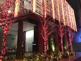 f:id:Magnoliarida:20170115224445j:image